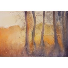 Mudeeha Ali, 14 x 21 Inch, Water Color On Paper, AC-MALI-006